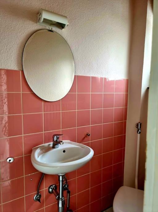 Eine Oase Bei Tara In Waldacker *