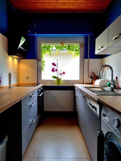 Apartment Eine Oase Bei Tara In Waldacker *