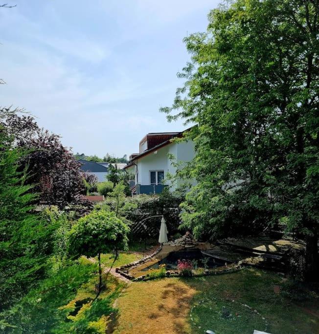 Apartment Eine Oase Bei Tara In Waldacker